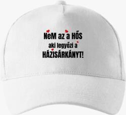 Los Polos Nem az a hős aki legyőzi a házisárkányt páros baseball sapka