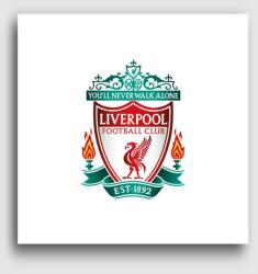 Los Polos FC Liverpool vászonkép