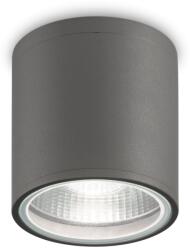 Ideal Lux Ideális Lux 236865 kültéri mennyezeti spotlámpa Gun 1x28W | GU10 | IP44 - antracit