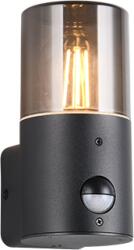 TRIO T222260132 kültéri fali lámpa HOOSIC E27