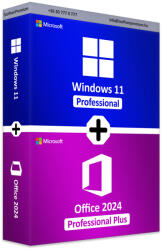 Microsoft Windows 11 Professional + Office 2024 Professional Plus (HAV-00154+EP2-27314)