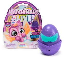 Spin Master Hatchimals Un pachet Neon Rainbow (6072752) Figurina