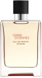 Hermès Terre D'Hermes (Intense) EDP 100 ml