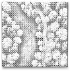  PontPöttyöző - Őszi kollázs Méret: 50x50cm, Keretezés: Műanyagtáblával, Szín: Zöld