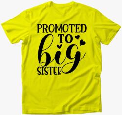Los Polos Big Sister póló
