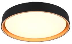 TRIO Reality TR64391080 LED mennyezetre szerelhető lámpa FELIS | 24W integrált LED forrás | 2500lm | 2700-6500K