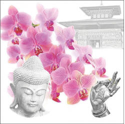 Ambiente Orchids of Buddha papírszalvéta 33x33cm, 20db-os (13319610)