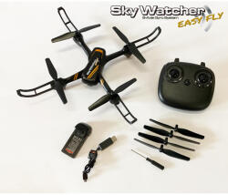 df-models SkyWatcher EasyFly RTF 16 (9480)