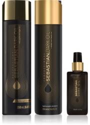 Sebastian Professional Dark Oil Set takarékos kiszerelés a hidratálásért és a fényért