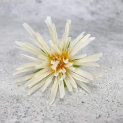  Kínai krizantém fej - krém - virágdekorációhoz és koszorúhoz