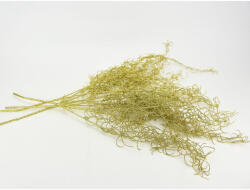  Asparagus csillámos arany 4db/csomag - papelito