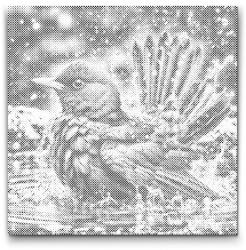 PontPöttyöző - Madárfürdő Méret: 50x50cm, Keretezés: Kerek keret, Szín: Kék