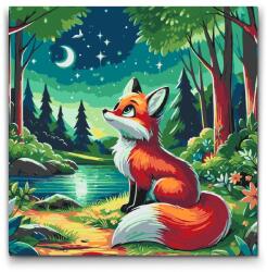  Festés számok szerint - Csillagos éjszaka az erdőben Méret: 50x50cm, Keretezés: Keret nélkül (csak a vászon)