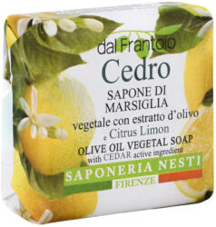 Nesti Dante szappan dal frantoio citrom 100g