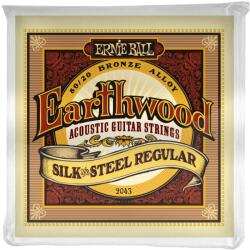 Ernie Ball 2043 Earthwood Silk & Steel Regular