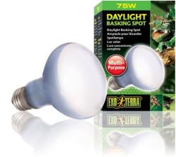 Exo Terra Terra Daylight Basking Spot - Bec cu strat de sticlă neodyum 75 W