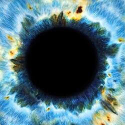 Den Stora Vilan Utsikt Mot Havet