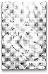  PontPöttyöző - Bohóchal Méret: 40x60cm, Keretezés: Műanyagtáblával, Szín: Zöld