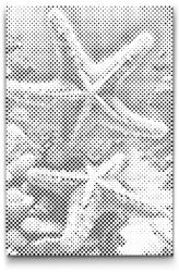  PontPöttyöző - Tengericsillag Méret: 40x60cm, Keretezés: Műanyagtáblával, Szín: Piros