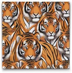 Festés számok szerint - Tigrisfejek Méret: 50x50cm, Keretezés: Keret nélkül (csak a vászon)