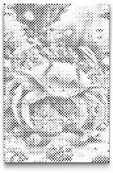  PontPöttyöző - Rák a tengerben Méret: 20x30cm, Keretezés: Kartonlemezen, Szín: Zöld