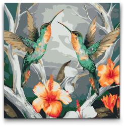  Festés számok szerint - Kolibrik a virágok között Méret: 50x50cm, Keretezés: Kerek keret