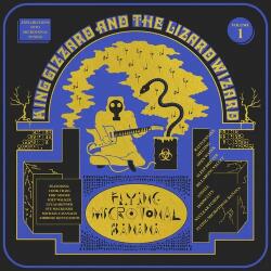 King Gizzard & The Lizard Wizard Flying Microtonal Banana - facethemusic - 16 490 Ft