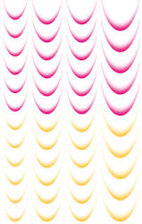 Crystalnails Vizes Mosolyvonal matrica - French Line III