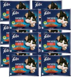 FELIX FELIX Vidéki ízek zselében marhahússal és csirkével 12x (4x85g)