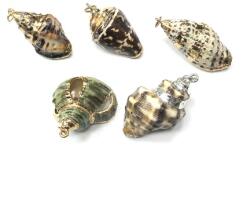  Gyöngy alkatrész- medál kagyló arany-ezüst szegéllyel 30mm 1db vegyes forma