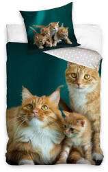 Cicás Orange Family ágyneműhuzat 140×200cm, 70×90 cm (CBX221129NL) - oliviashop