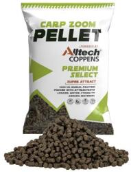 CARP ZOOM Cz premium selec pellet, 3 mm, natúr, 800 g (CZ5521) - epeca