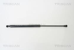 TRISCAN Amortizor capota TRISCAN 8710 10100 (8710 10100) - fixbox
