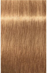 Schwarzkopf Igora Royal Absolutes Vopsea permanentă 60 ml (SK1688968)
