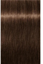 Schwarzkopf Igora Royal Absolutes Vopsea permanentă 60 ml (SK1886362)