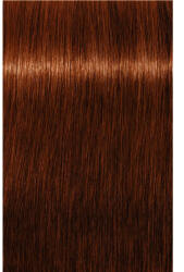 Schwarzkopf Igora Royal Absolutes Vopsea permanentă 60 ml (SK1688976)