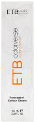 ETB Professional Colorverse Vopsea de Păr Permanentă 100ml Culoare Vibrantă și Rezistență de Lungă Durată (EH01126)