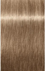 Schwarzkopf Igora Royal Absolutes Vopsea permanentă 60 ml (SK2611032)