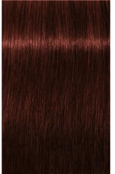 Schwarzkopf Igora Royal Absolutes Vopsea de Păr Permanentă 60ml Culoare Uniformă și Acoperire a Firelor Albe (SK1688978)