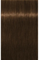 Schwarzkopf Igora Royal Absolutes Vopsea de Păr Permanentă 60ml Culoare Uniformă și Acoperire a Firelor Albe (SK2610195)