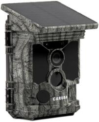Caruba Wildcamera Raccoon 4K (D232031)