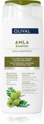 Olival Amla hidratáló sampon a haj megerősítésére 250 ml