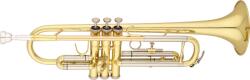 S. E. Shires STRA100
