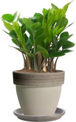 Euganea Vasi Alátét Agyag 36cm, Szürke