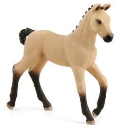 Schleich Animal - mânz hanovrian (102613929) Figurina
