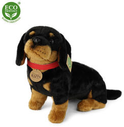 Rappa Caine teckel Rappa Plush 30 cm ECO-FRIENDLY (201538)