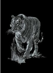 MAMMUT Tigris, Mini ezüst képkarcoló (130006)