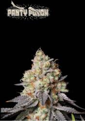 Seedstockers AK420 AUTO 0% THC Kiszerelés: 3 db - weedshop - 16 865 Ft