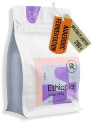 R Coffee & Roastery ETIOPIA URAGA Funky specialty coffee beans