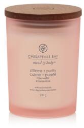 Chesapeake Bay Illatgyertya Chesapeake Bay Candle Stillness & Purity Közepes - yankeegyertya